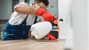 Best Pest Exclusion Services  in Mount Hope, WV